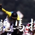 G1戦は極選の単勝率上位馬が狙い目？今年は勝ててませんがここからの巻き返しを期待！