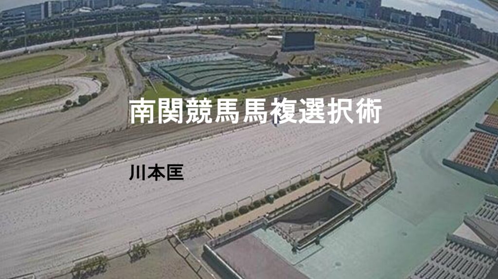 南関競馬馬複選択術のレビュー。オッズを使わず配当妙味の高い買い目を買える！