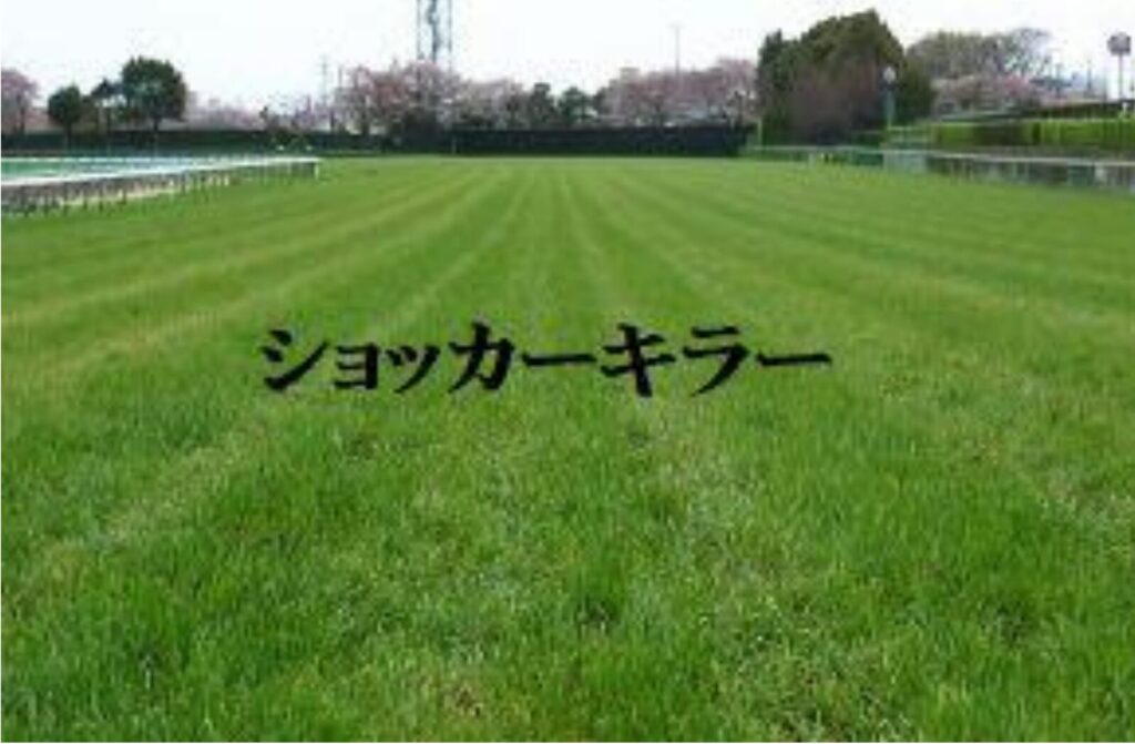 ショッカーキラーのレビュー。極ウマじゃない競馬サイト攻略マニュアル！