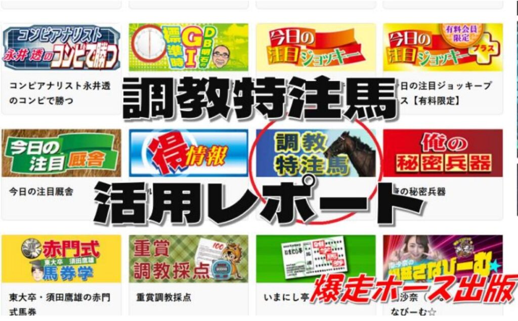 調教特注馬活用レポートの成績。上積みが期待できないこの条件を消してさらに成績アップ！
