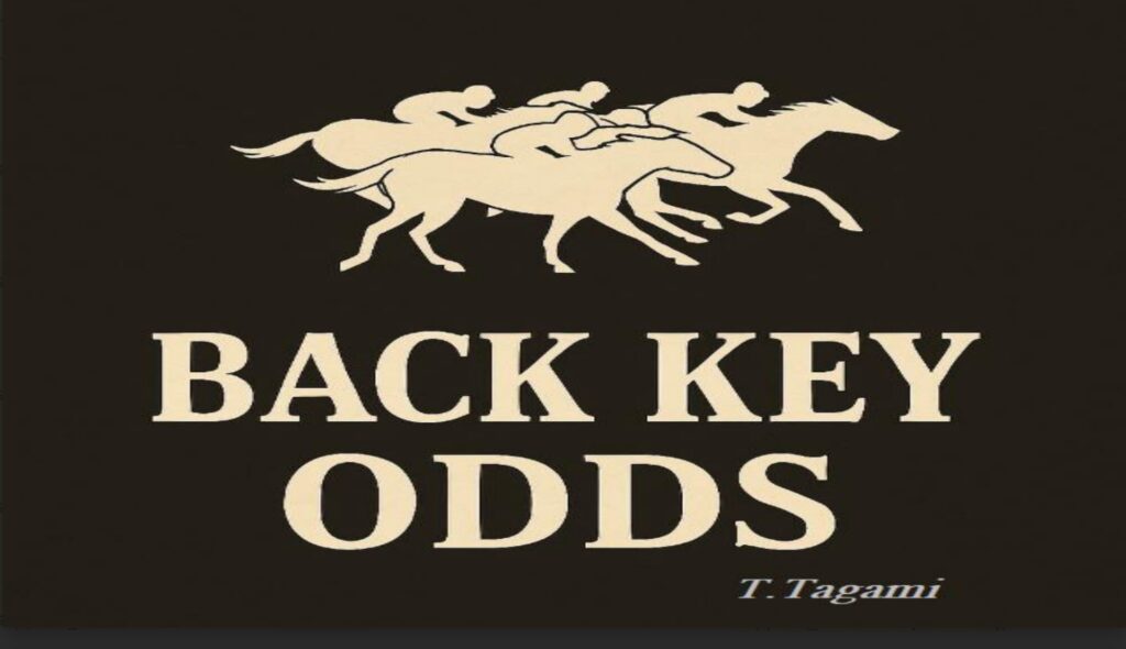 Back Key Odds(バックキーオッズ)のレビューと特典案内